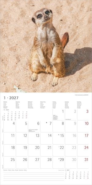 Produktbild: Erdm&auml;nnchen 2027