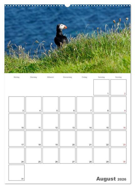 Produktbild: Schottland f&uuml;r Naturliebhaber (Wandkalender 2026 DIN A2 hoch), CALVENDO Monatskalender