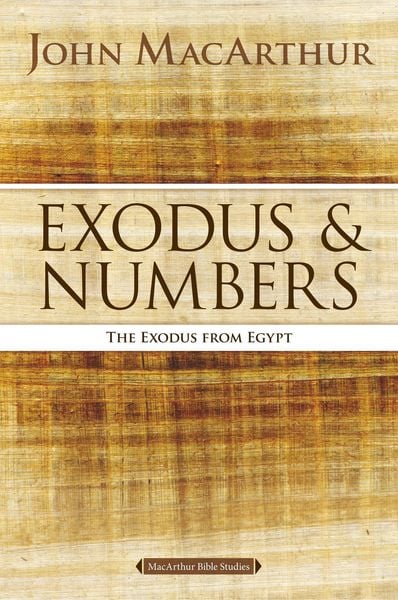 Produktbild: The Exodus and Numbers