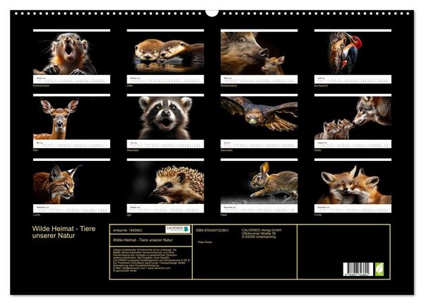 Produktbild: Wilde Heimat - Tiere unserer Natur (Wandkalender 2026 DIN A2 quer), CALVENDO Monatskalender