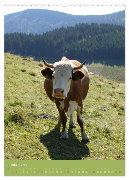 Produktbild: Schwarzwald und K&uuml;he im Hochformat (hochwertiger Premium Wandkalender 2027 DIN A2 hoch), Kunstdruck in Hochglanz
