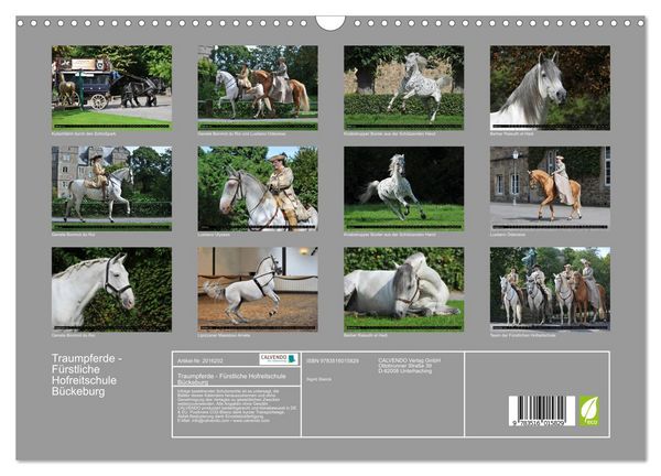 Produktbild: Traumpferde - F&uuml;rstliche Hofreitschule B&uuml;ckeburg (Wandkalender 2026 DIN A3 quer), CALVENDO Monatskalender