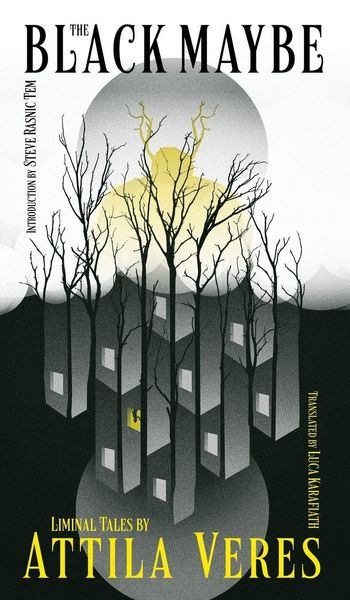 Produktbild: The Black Maybe