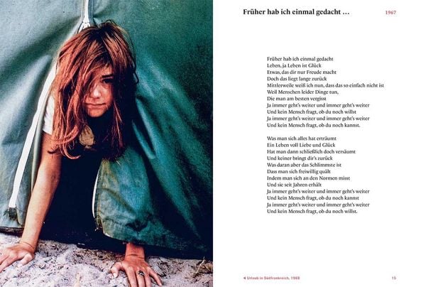 Produktbild: Gabriele Krone-Schmalz - Verstehen
