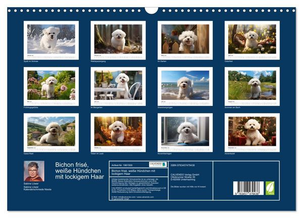 Produktbild: Bichon fris&eacute;, wei&szlig;e H&uuml;ndchen mit lockigem Haar (Wandkalender 2026 DIN A3 quer), CALVENDO Monatskalender