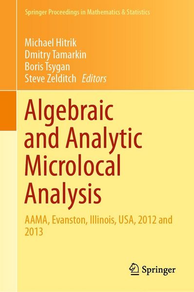 Produktbild: Algebraic and Analytic Microlocal Analysis