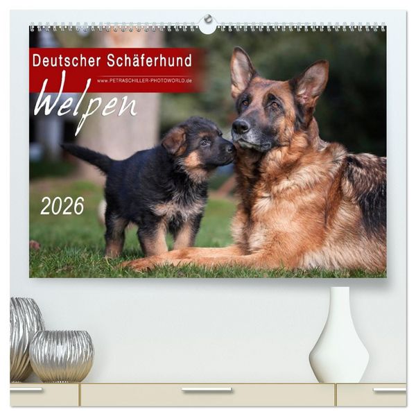 Produktbild: Deutscher Sch&auml;ferhund - Welpen / CH-Version (hochwertiger Premium Wandkalender 2026 DIN A2 quer), Kunstdruck in Hochglanz