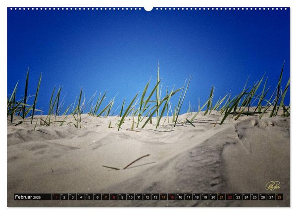 Produktbild: Nordsee-D&uuml;nen (Wandkalender 2026 DIN A2 quer), CALVENDO Monatskalender