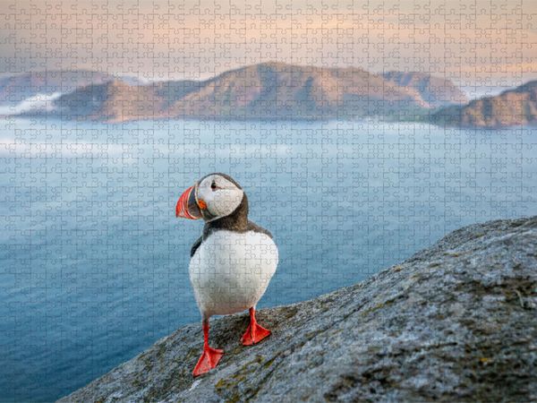Produktbild: CALVENDO Puzzle Ein Motiv aus dem Kalender Die kleinen sch&ouml;nen | 1000 Teile Lege-Gr&ouml;&szlig;e 64x48cm Foto-Puzzle f&uuml;r gl&uuml;ckliche Stunden