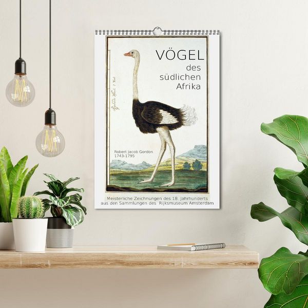 Produktbild: V&ouml;gel des s&uuml;dlichen Afrika (Wandkalender 2026 DIN A3 hoch), CALVENDO Monatskalender