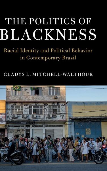 Produktbild: The Politics of Blackness