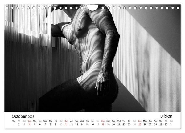 Produktbild: Male Nude Art (Wall Calendar 2026 DIN A4 landscape), CALVENDO 12 Month Wall Calendar