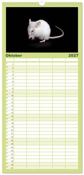Produktbild: Familienplaner 2027 - S&uuml;&szlig;e M&auml;use und Coole Ratten mit 5 Spalten (Wandkalender, 21 x 45 cm) CALVENDO