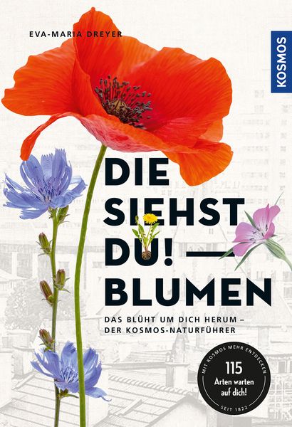 Produktbild: Die siehst du - Blumen