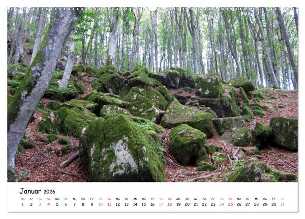 Produktbild: Camino di Assisi - Franziskusweg (Wandkalender 2026 DIN A2 quer), CALVENDO Monatskalender