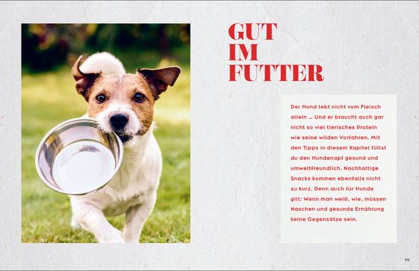 Produktbild: Oh Happy Dog!