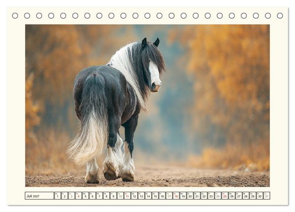 Produktbild: Irish Tinker Liebe. Der robuste Charme der Gypsy Cobs (Tischkalender 2027 DIN A5 quer), CALVENDO Monatskalender