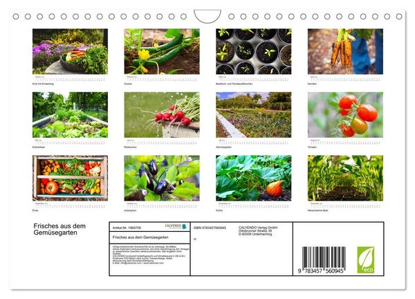 Produktbild: Frisches aus dem Gem&uuml;segarten (Wandkalender 2026 DIN A4 quer), CALVENDO Monatskalender