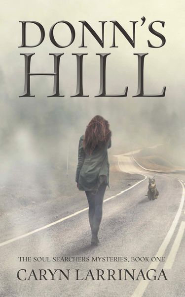 Produktbild: Donn's Hill (The Soul Searchers Mysteries, #1)