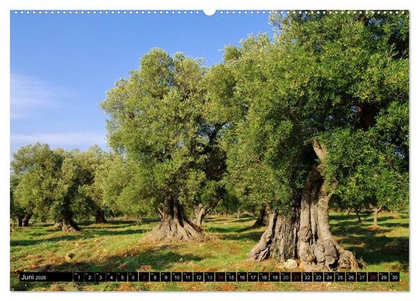 Produktbild: Apulien (Wandkalender 2026 DIN A2 quer), CALVENDO Monatskalender