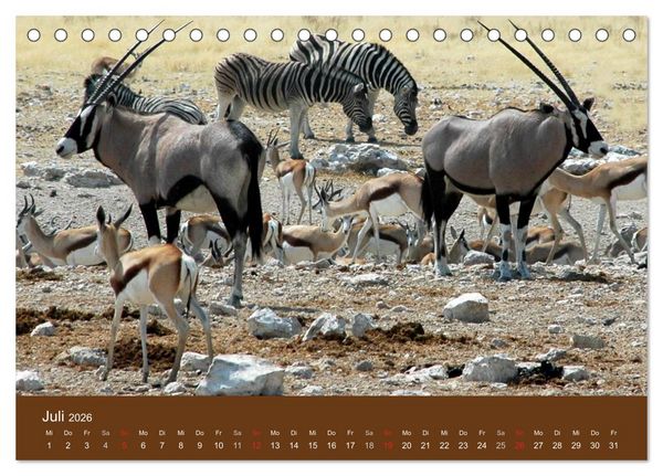 Produktbild: Namibia - faszinierende Menschen und Tiere (Tischkalender 2026 DIN A5 quer), CALVENDO Monatskalender