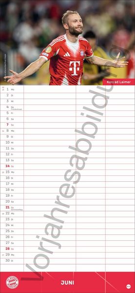 Produktbild: FC Bayern M&uuml;nchen Fanplaner 2027