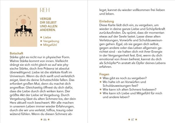 Produktbild: Spirituelle Botschaften von deinem Animal Spirit