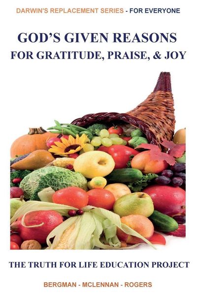 Produktbild: God's Given Reasons For Gratitude, Praise, and Joy