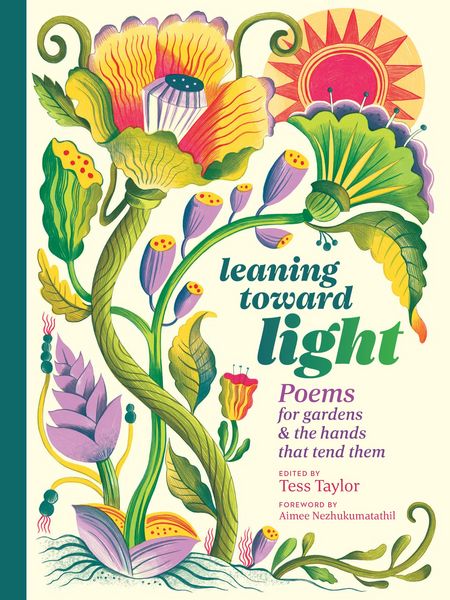 Produktbild: Leaning toward Light