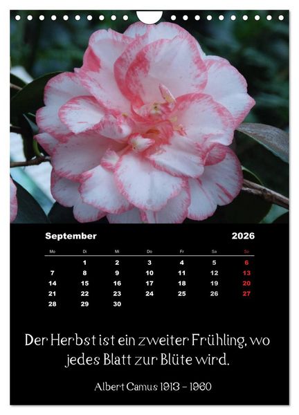 Produktbild: Spr&uuml;che und Zitate ber&uuml;hmter Personen &uuml;ber Blumen und Natur (Wandkalender 2026 DIN A4 hoch), CALVENDO Monatskalender