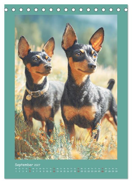 Produktbild: Mini-Pinscher. Kleine Hunde in sch&ouml;nen Momenten (Tischkalender 2027 DIN A5 hoch), CALVENDO Monatskalender