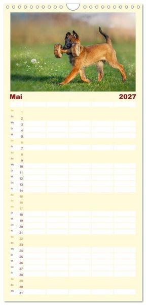 Produktbild: Familienplaner 2027 - Traumhund Malinois mit 5 Spalten (Wandkalender, 21 x 45 cm) CALVENDO