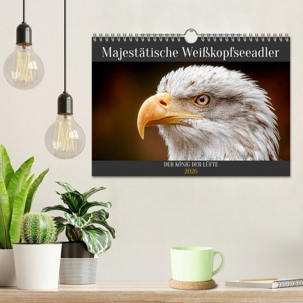 Produktbild: Majest&auml;tische Wei&szlig;kopfseeadler - Der K&ouml;nig der L&uuml;fte (Wandkalender 2026 DIN A4 quer), CALVENDO Monatskalender