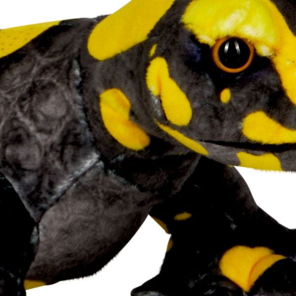 Produktbild: Feuersalamander - Nature Zoom Wild