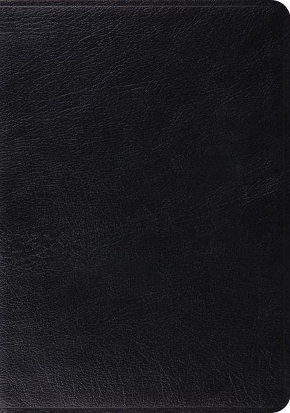 Produktbild: Study Bible-ESV