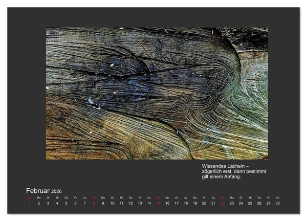 Produktbild: MAGIE HOLZ 2026 (Wandkalender 2026 DIN A3 quer), CALVENDO Monatskalender
