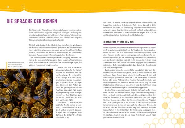 Produktbild: Auch Bienen haben Schwei&szlig;f&uuml;&szlig;e