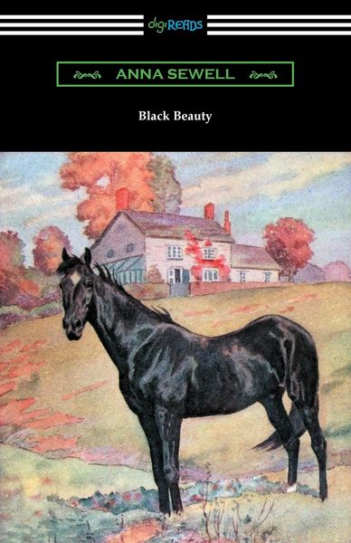 Produktbild: Black Beauty