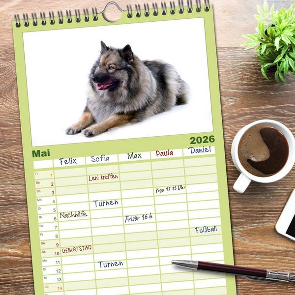 Produktbild: Familienplaner 2026 - Der Wolfsspitz mit 5 Spalten (Wandkalender, 21 x 45 cm) CALVENDO