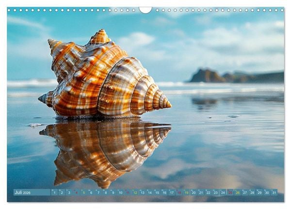 Produktbild: Faszination Muscheln (Wandkalender 2026 DIN A3 quer), CALVENDO Monatskalender