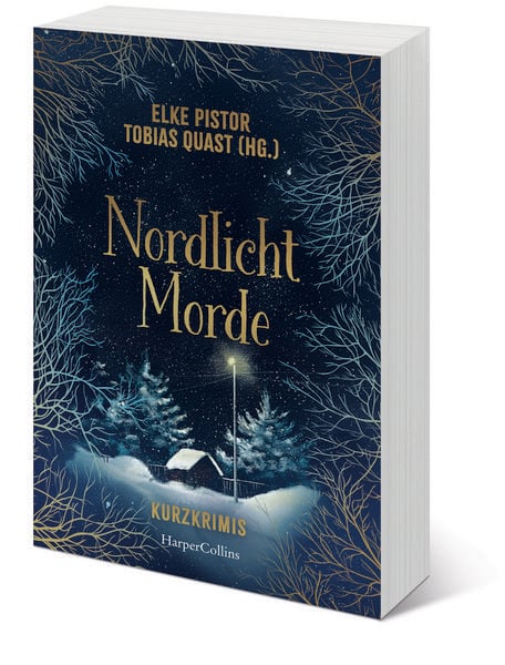 Produktbild: Nordlichtmorde. 20 Kurzkrimis