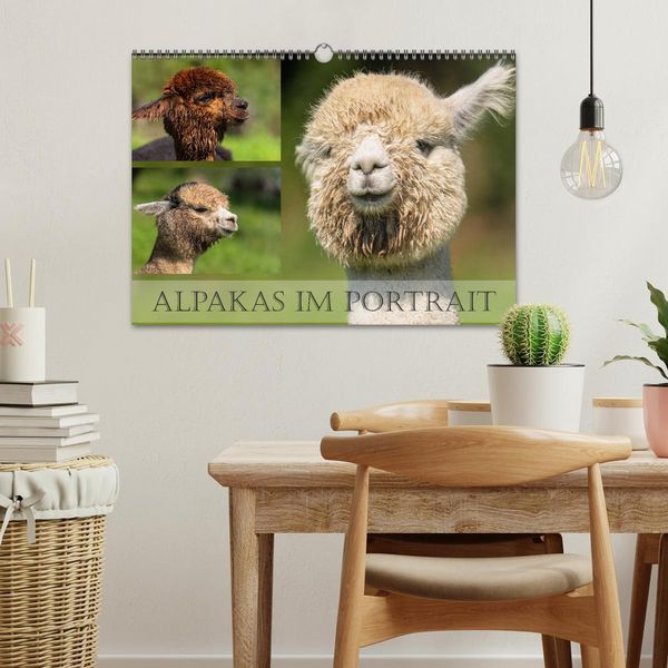 Produktbild: Alpakas im Portrait (Wandkalender 2026 DIN A3 quer), CALVENDO Monatskalender