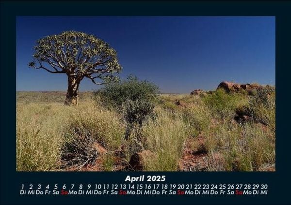 Produktbild: B&auml;ume 2025 Fotokalender DIN A5