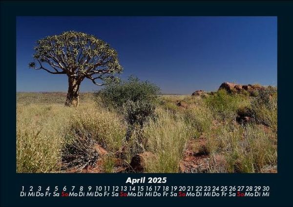 Produktbild: B&auml;ume 2025 Fotokalender DIN A5
