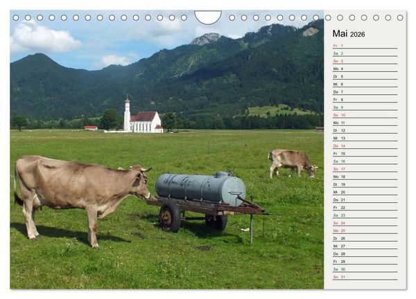 Produktbild: Schwangauer Momente (Wandkalender 2026 DIN A4 quer), CALVENDO Monatskalender