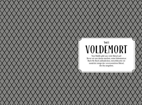 Produktbild: Voldemort