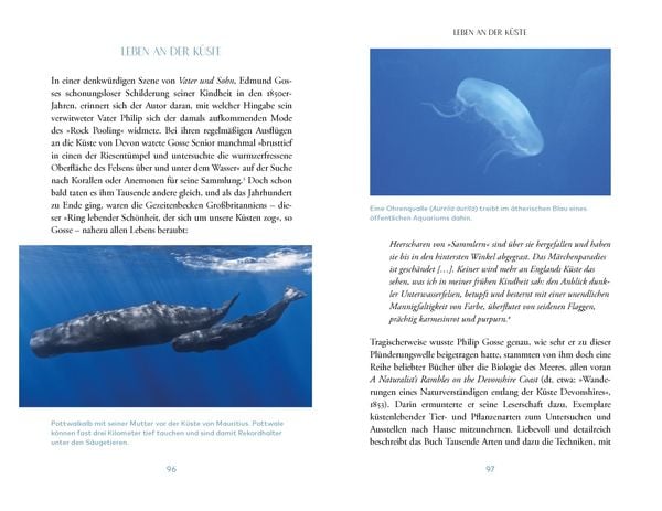 Produktbild: Das Meer