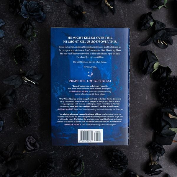 Produktbild: The Wicked Sea (Standard Edition)
