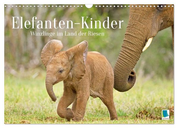 Produktbild: Elefantenkinder: Winzlinge im Land der Riesen (Wandkalender 2026 DIN A3 quer), CALVENDO Monatskalender