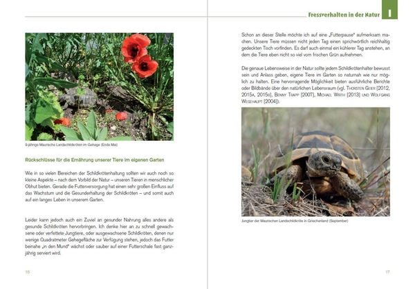 Produktbild: Der Schildkr&ouml;ten-G&auml;rtner - Naturnahe Ern&auml;hrung Europ&auml;ischer Landschildkr&ouml;ten